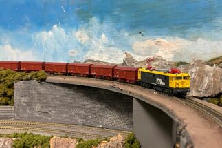 "Japonesa" de la serie 279 de Arnold. Foto: Asier Gurruxtaga García