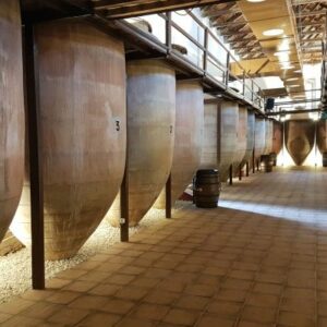 Visita y cata en la Bodega Tradicional Navarro López